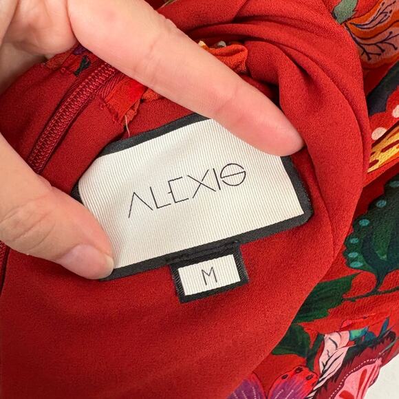 Alexis Morgana in Rust Nouveau A Line Floral Bow Tie Neckline Chiffon Dress M - Picture 6 of 7